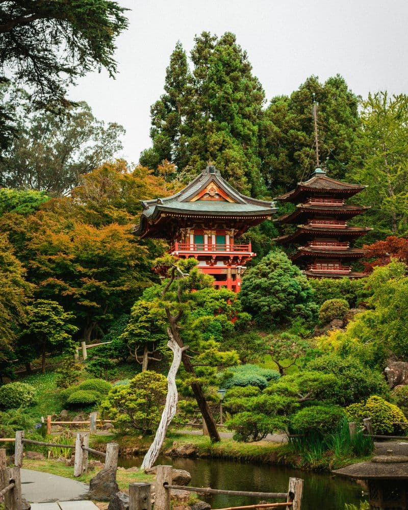 Japanese-Inspired Garden
