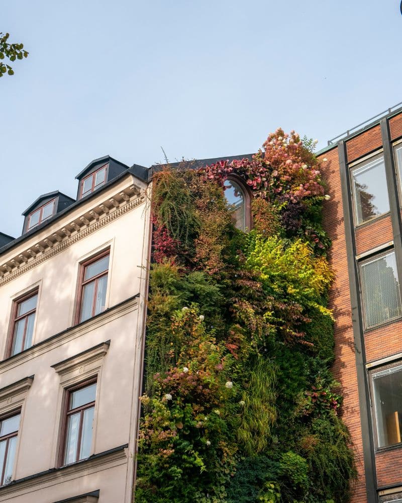 Urban Living Wall