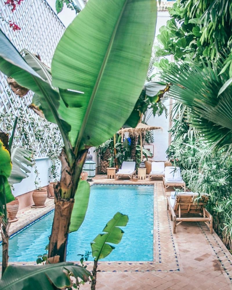 Tropical Courtyard Pool