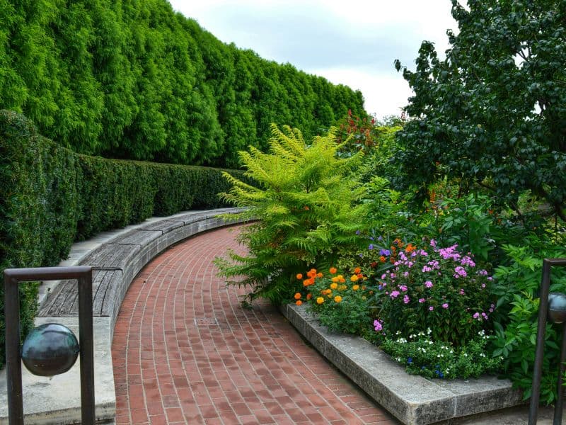 Hardscaping & Patios